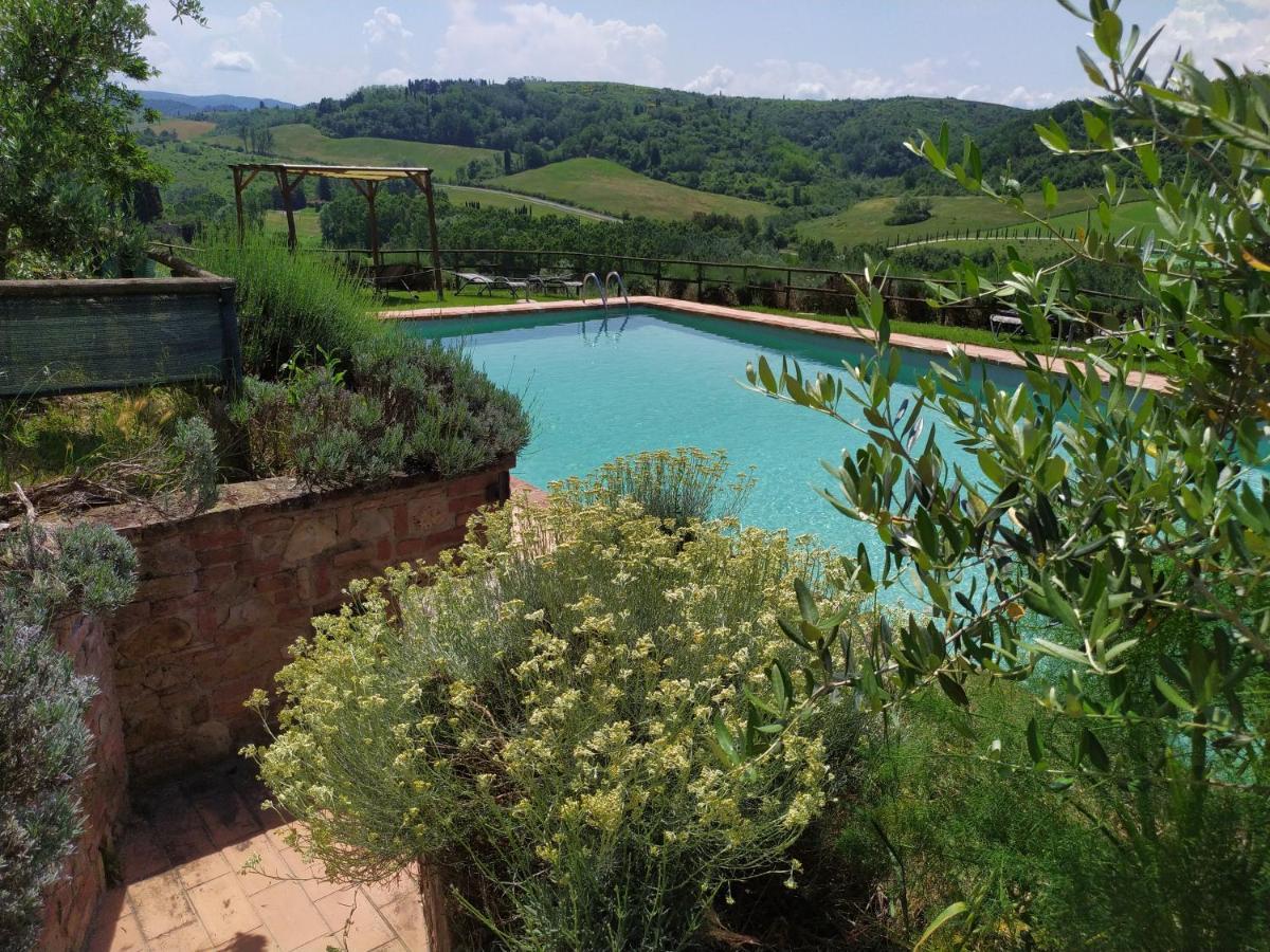 Antonella House -Podere Della Collina Palaia Eksteriør bilde