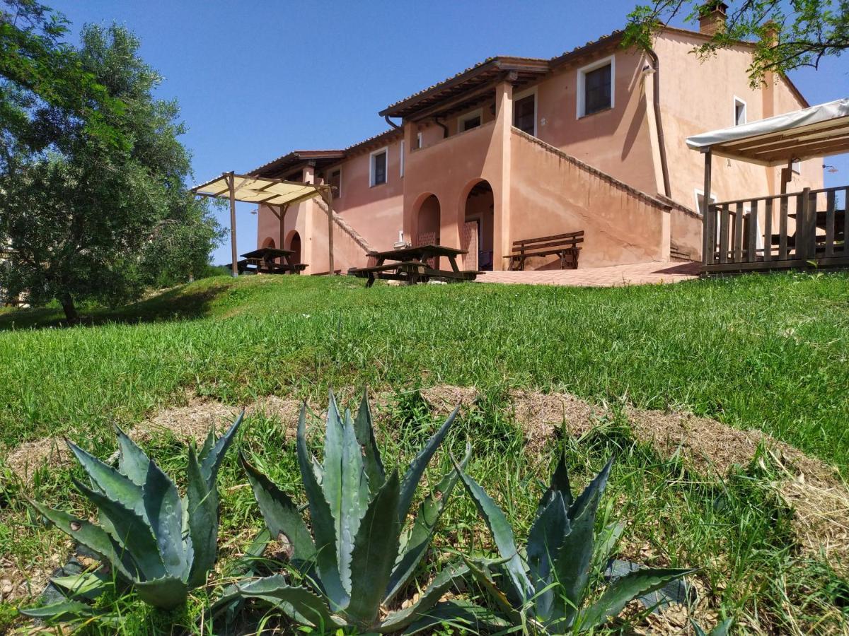 Antonella House -Podere Della Collina Palaia Eksteriør bilde