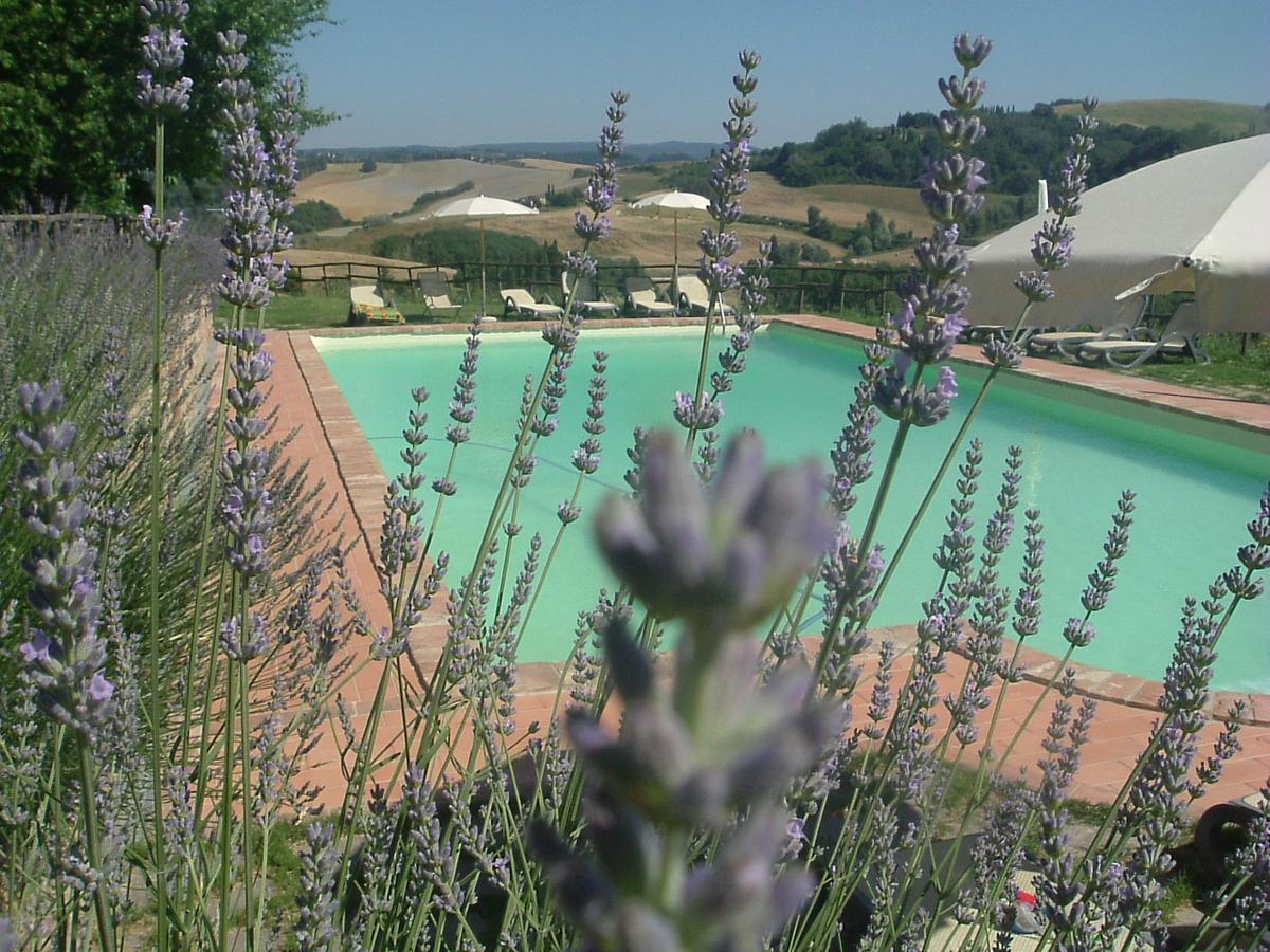 Antonella House -Podere Della Collina Palaia Eksteriør bilde